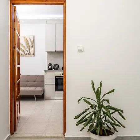 Naxian Hideaway Naxos Town Apartamento